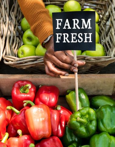 farm fresh apples and peppers