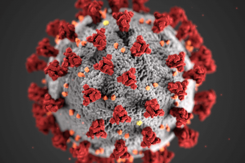 coronavirus